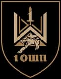 1-й окремий штурмовий полк